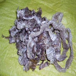 牛皮癣偏方